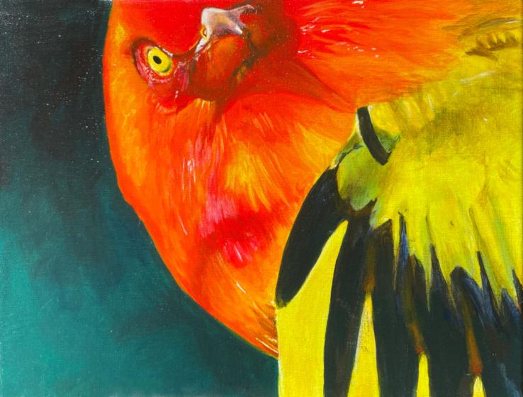 KatieGreen_FlameBowerbird_14x11_185