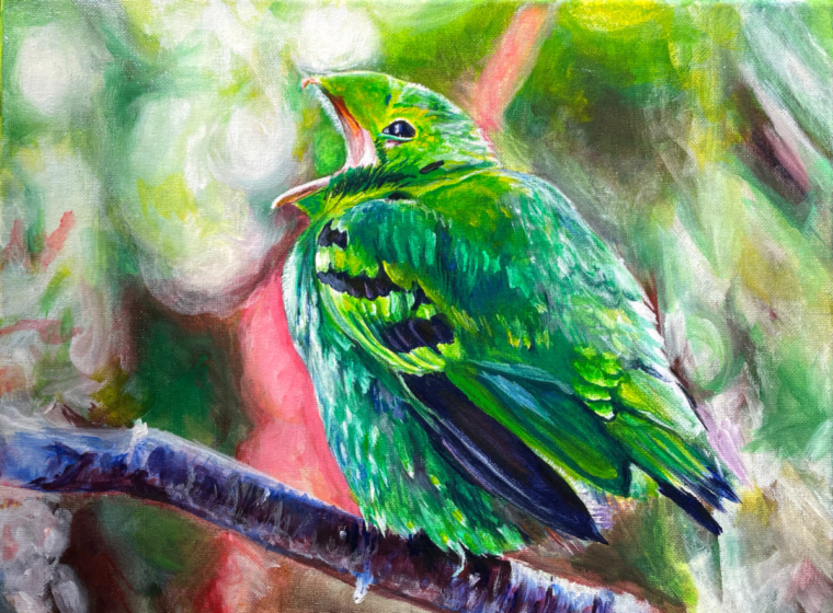 KatieGreen_LesserGreenBroadbill_200