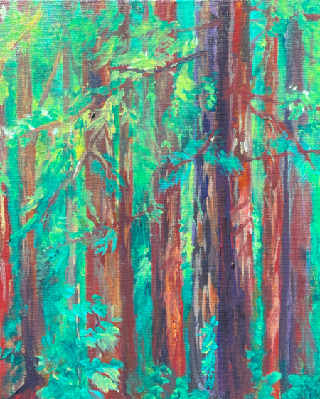KatieGreen_RedwoodsFromThePorch2_8x10_60