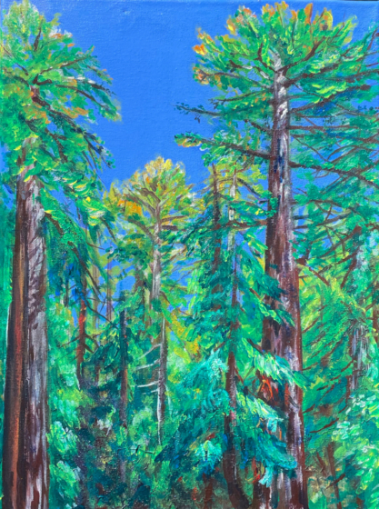 KatieGreen_RedwoodsFromThePorch_12x16_200