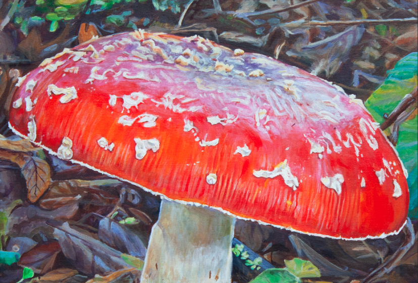 Amanita Muscaria Painting
