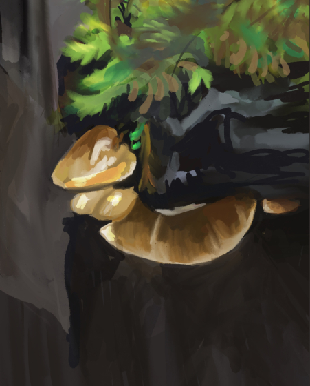 Untitled_Artwork 11-