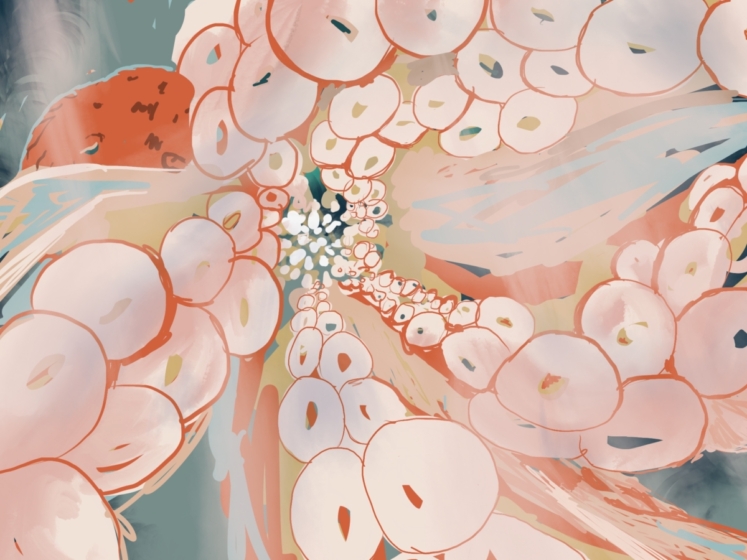 Untitled_Artwork 116