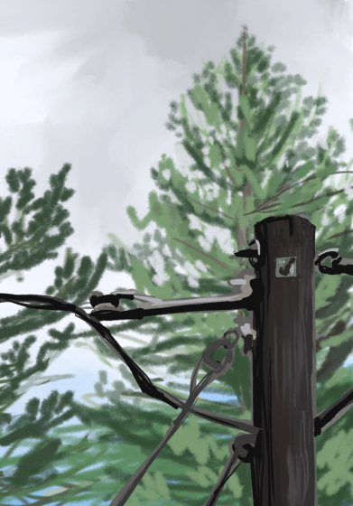 Untitled_Artwork 12-