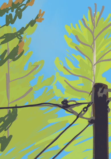 Untitled_Artwork 16-