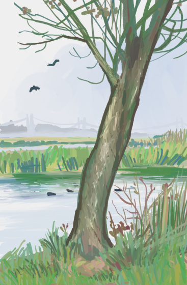 Untitled_Artwork 16__