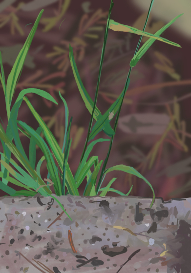 Untitled_Artwork 20-