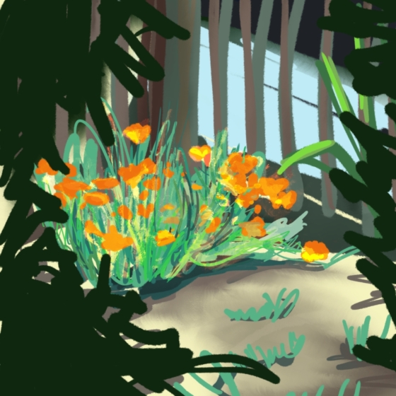 Untitled_Artwork 5