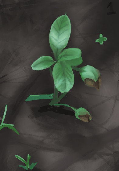 Untitled_Artwork 9_____