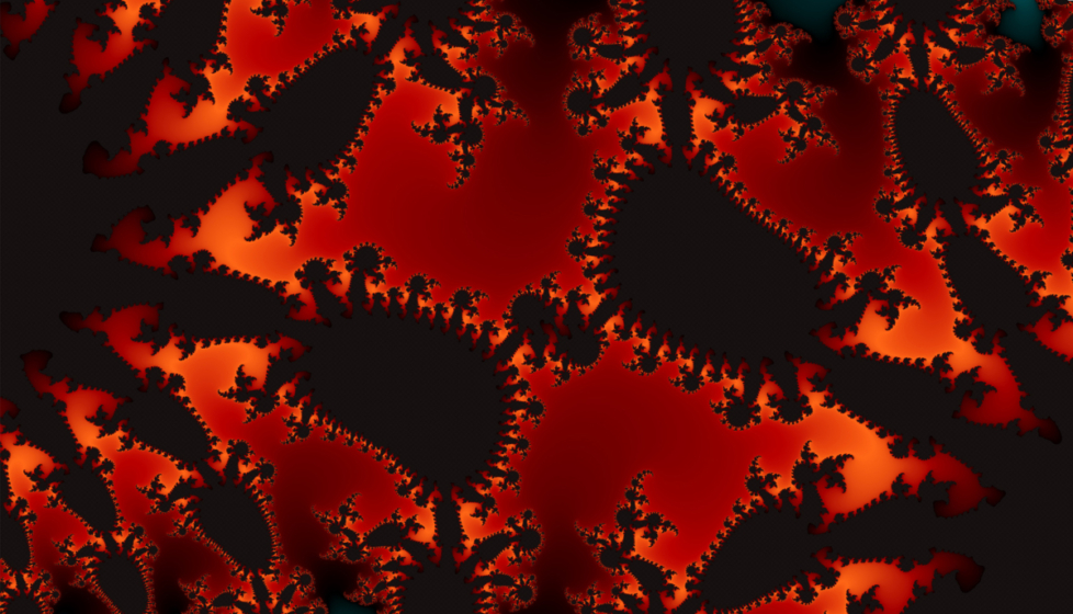 Bacteria