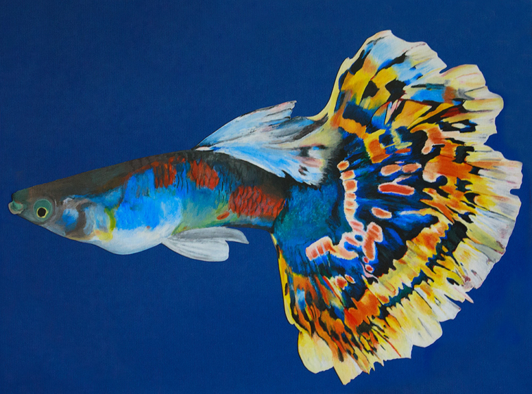 guppy_edit