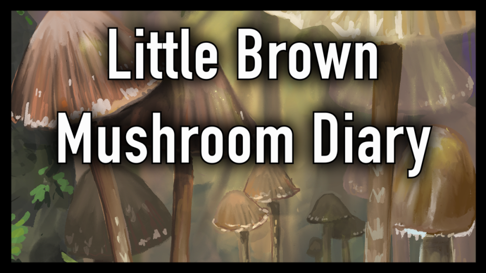 Little Brown Mushroom Zine, 2025