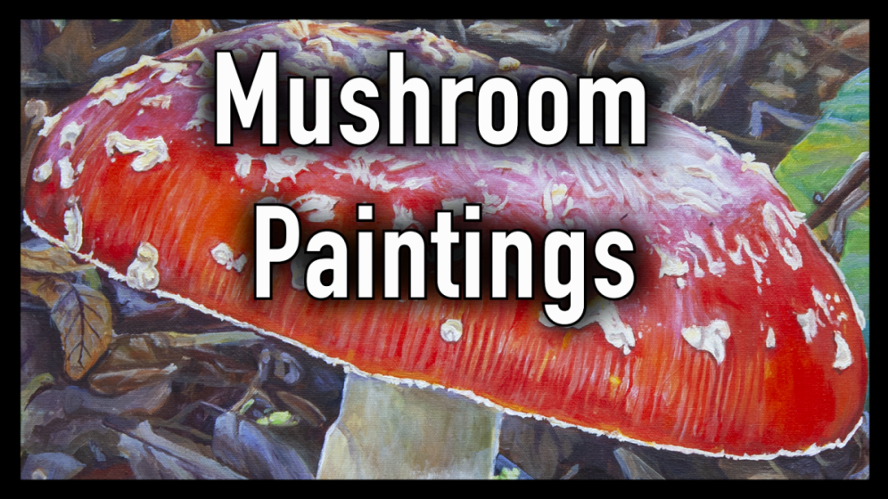 Mushroom Paintings: Acrylic on Canvas, 2022 - 2025