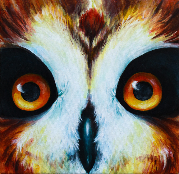 owl