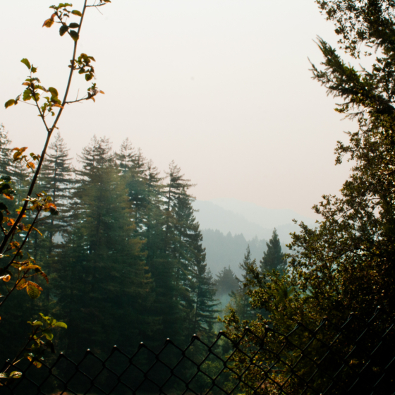 phot_smoke_trashcanoverlook