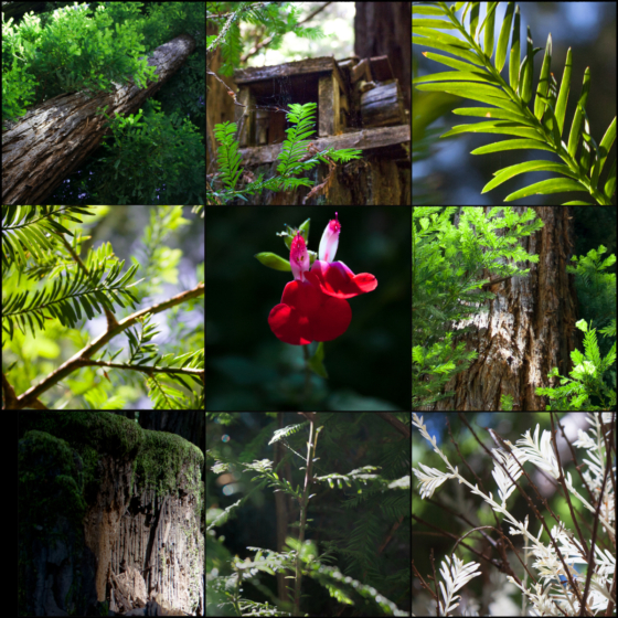 photo_moodboard