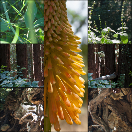 photo_moodboard2