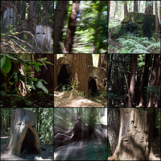photo_moodboard_forest4