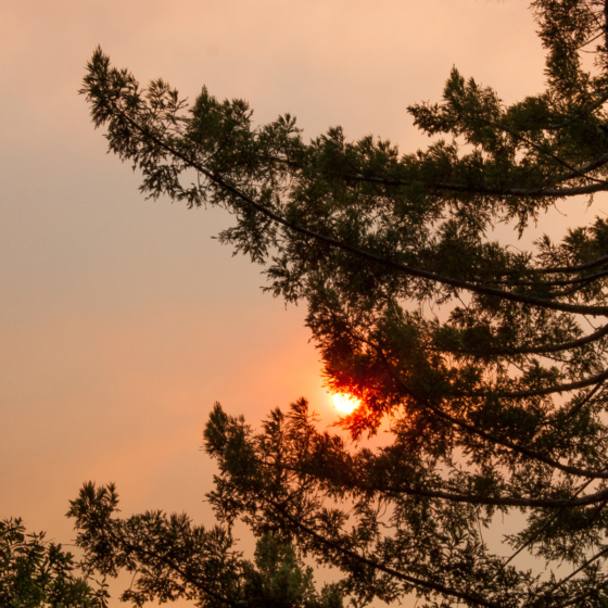photo_smoke_stesonroad