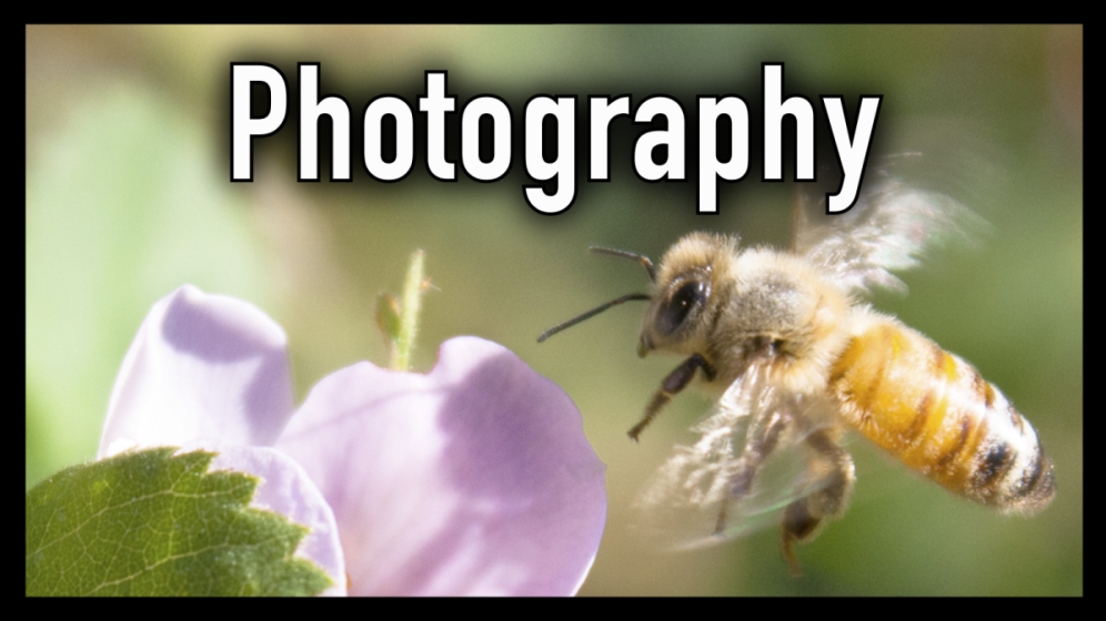 Photography, 2020 - 2021