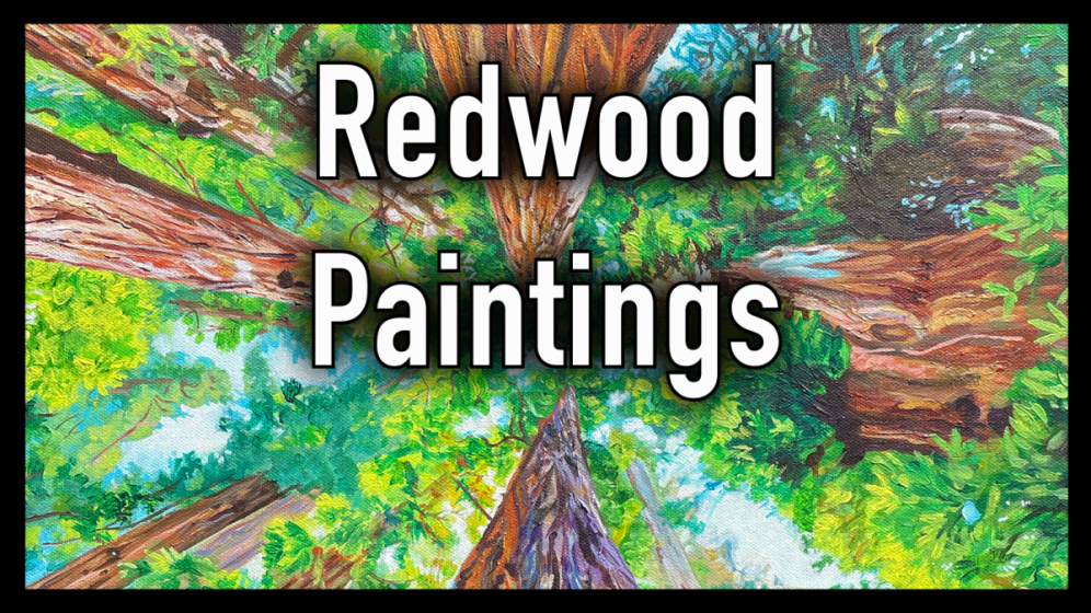 Redwood Paintings: Acrylic on Canvas, 2020 - 2022