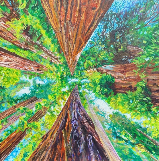 stoutgrove_close